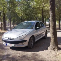 206 تیپ دو سالم