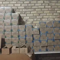 کیک،کلوچه وآبمیوه