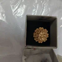 جواهرت|جواهرات|قم, تولید دارو و یخچال|دیوار