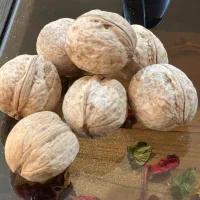 گردو تازه و بسیار چرب کردستان ( اشنویه)