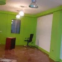 نقاش و نقاشی وخرده کاری|خدمات پیشه و مهارت|تهران, فردوسی|دیوار