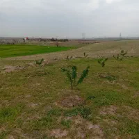 باغ-در-کوگیر-بند-زویار