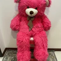 خرس بزرگ ۱ و نیم متری