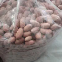 بادام منقا زرین|خوردنی و آشامیدنی|مشگین شهر, |دیوار