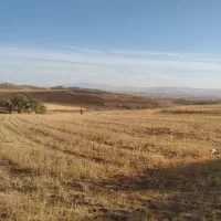 زمین زراعی|فروش دفتر صنعتی، کشاورزی، تجاری|ایجرود, |دیوار