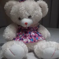 خرس شاسخین ۵۰ سانت نو