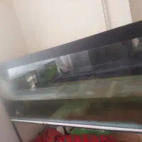 آکواریم در ابعاد بزرک .