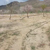 زمین واقع در دره غول روستای نور اباد|فروش زمین و ملک کلنگی|بهار, |دیوار