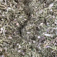 کاه لوبیا چیتی سلطانیه