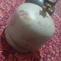 پینیک|اجاق گاز و لوازم برقی پخت‌وپز|نورآباد ممسنی, |دیوار