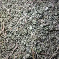 خارخاسک