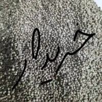 شاهدانه ریز