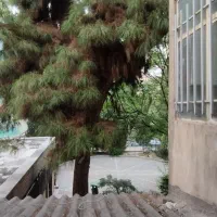 112-متر-کلنگی-هفت-چنار-امیرقلی