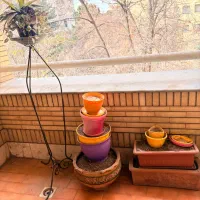 تعدادی گلدان