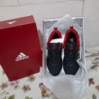 اکومنت پشت ژاپن