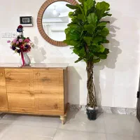 درختچه مصنوعی گل مصنوعی|گل مصنوعی|رشت, سلیمانداراب|دیوار