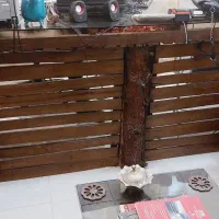 میز کار