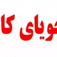 جویای کار