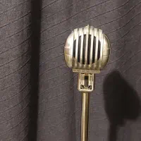 میکروفون و پایه کلاسیک