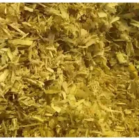 فروش علوفه ذرت سیلو شده