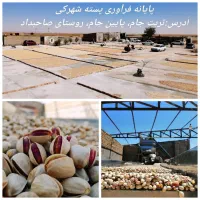 پایانه فرآوری پسته شهرکی