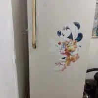 دو تا یخچال