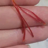 زعفران اصل زاوه تربت حیدریه