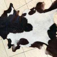 پوست طبیعی|لوازم جانبی حیوانات|ری, دولتآباد|دیوار