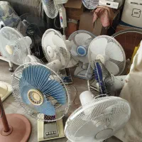 تعدادی پنکه بابرندهای مختلف