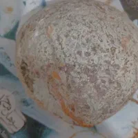 زیبای خفته