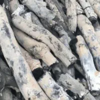 پخش زغال پسته