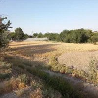بهترین-ملک-سنددار-خرم-دره-کاهو