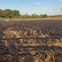 زمین زراعی خوش موقعیت|فروش دفتر صنعتی، کشاورزی، تجاری|خرمدره, |دیوار