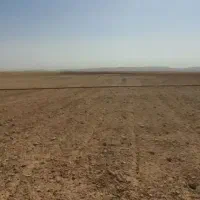 زمین کشاورزی با چاه آب|اجارهٔ دفتر صنعتی، کشاورزی، تجاری|گلبهار, بیزکی|دیوار