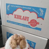 شیرنی یلدا|خوردنی و آشامیدنی|صوفیان, |دیوار