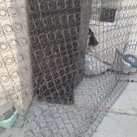 فنر تشک|تشک تختخواب|اراک, |دیوار