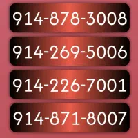 ۰۹۱۴۸۷۸۳۰۰۸