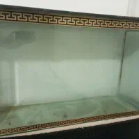 اکواریم شیشه خم