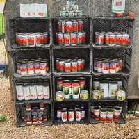 گلخانه تولید نشا در شیراز|خدمات باغبانی و درختکاری|مرودشت, زنگی آباد|دیوار