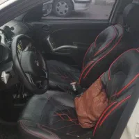 سایناs دوگانه