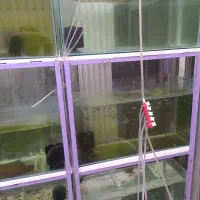 فروش ویژه پایه وآکواریوم برای شب عید|ماهی|خمینیشهر, |دیوار