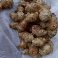 یارماسی شلغم یا سیب زمینی  برای ترشی و شور|خوردنی و آشامیدنی|رشت, پیرسرا|دیوار