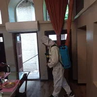 سمپاشی سوسک.ساس حشرات خونگی|خدمات نظافت|گرگان, |دیوار