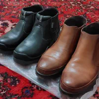 دو جفت کفش به قیمت یک جفت|کیف، کفش، کمربند|کبودرآهنگ, |دیوار