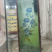 ماهی آب سرد