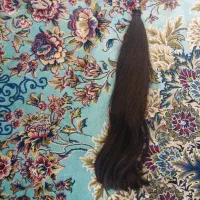 موی طبیعی رنگ شده|آرایشی، بهداشتی، درمانی|پیشوا, |دیوار