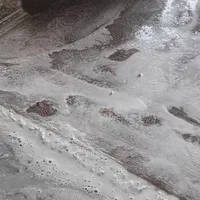 قالیشوی ملایری در پاکدشت‌وشریف اباد۳۶۱۶۰۵۳۰|خدمات نظافت|پاکدشت, پاکدشت (مامازند)|دیوار