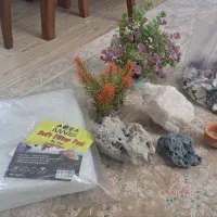 آکواریوم|ماهی|محمدشهر, سیدآباد|دیوار