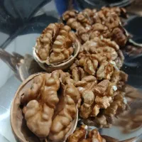گردو پوست کاغذی