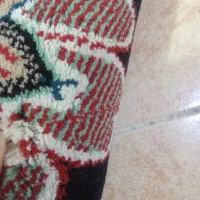 دوتا فرش تمام نخ دوتاش 18|فرش|الشتر, |دیوار